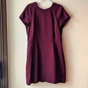 Banana Republic A-Line Plum Dress